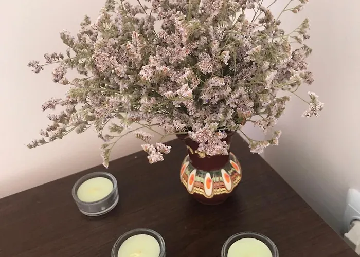 Apolon 8 Ravda Apartamento