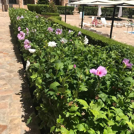 Apolon 8 Ravda Appartement