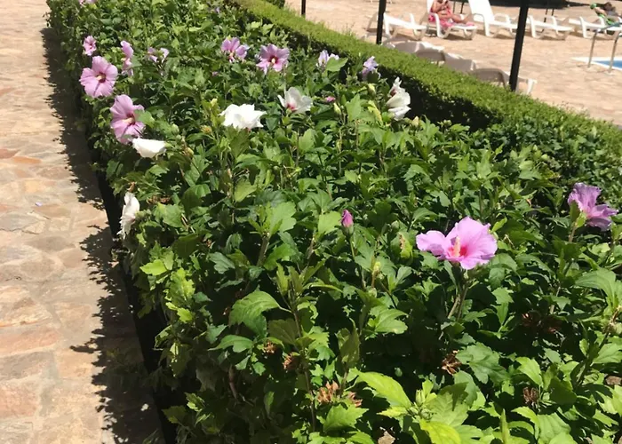 Apolon 8 Ravda Διαμέρισμα